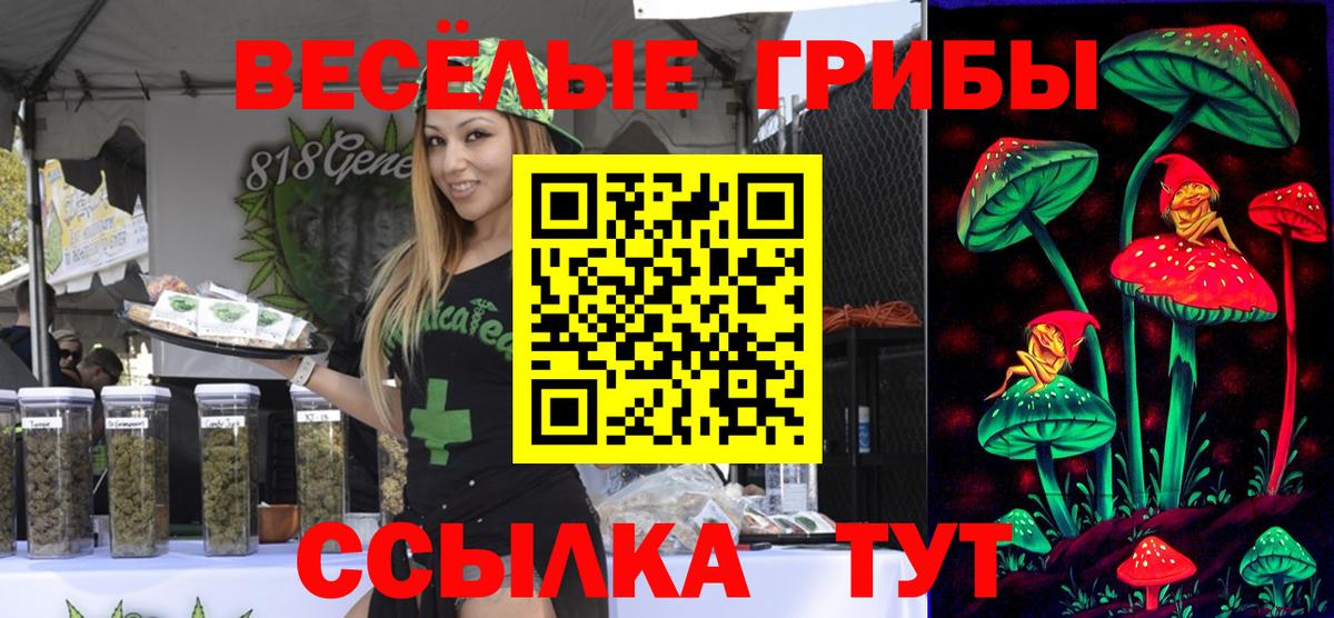 магазин  наркотиков  Вход с VPN  Ногинск  Псилоцибиновые грибы MAGIC MUSHROOMS 